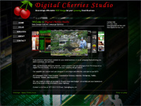 Seattle Webdesign - Digital Cherries Studio